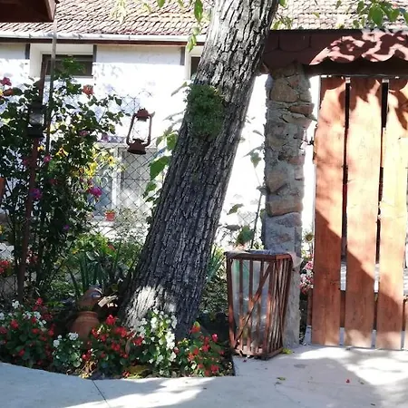 Balla House * Tarcaia